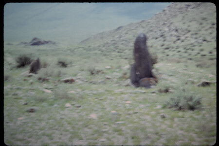 199501 - 199501_05_06