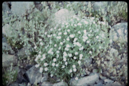 199501 - 199501_05_07
