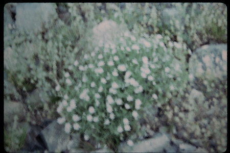 199501 - 199501_05_08