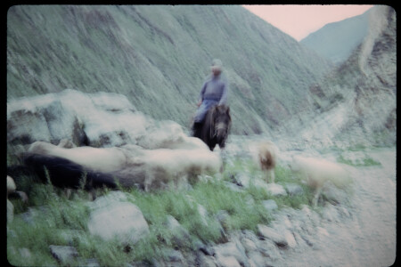 199501 - 199501_05_09