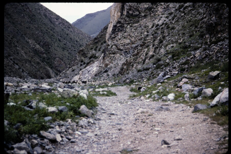 199501 - 199501_05_11