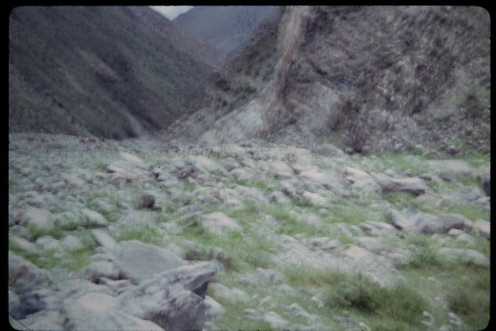 199501 - 199501_05_13