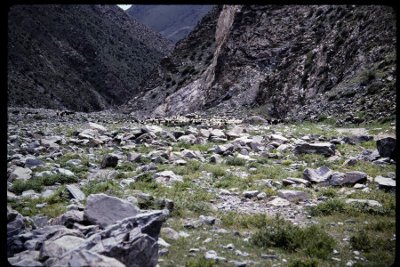 199501 - 199501_05_14