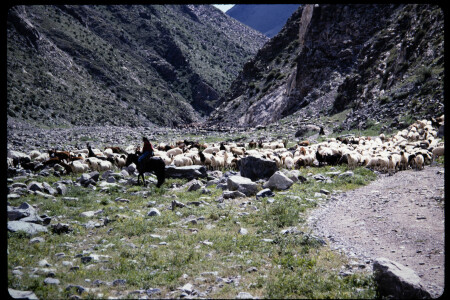199501 - 199501_05_19