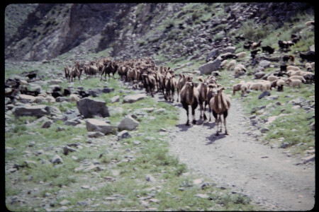 199501 - 199501_06_02