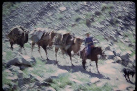 199501 - 199501_06_05
