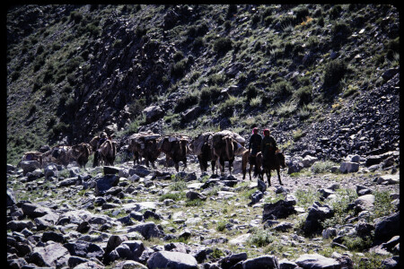 199501 - 199501_06_08
