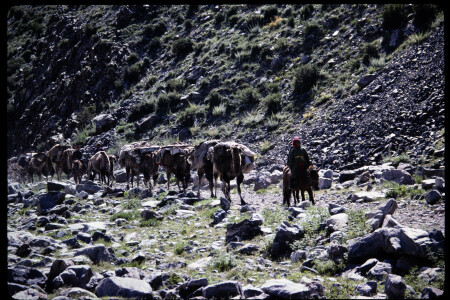 199501 - 199501_06_09