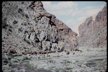 199501 - 199501_06_10