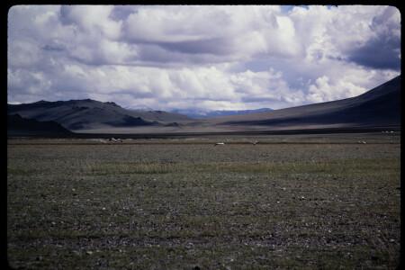 199501 - 199501_07_08