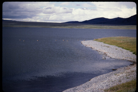 199501 - 199501_07_10