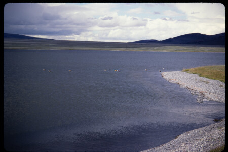 199501 - 199501_07_11