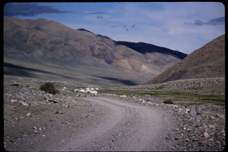 199501 - 199501_08_04