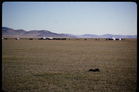 199501 - 199501_09_18