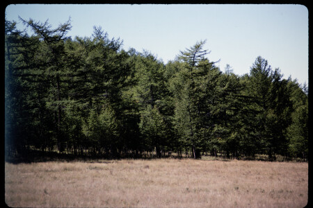 199501 - 199501_10_14