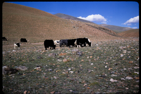 199501 - 199501_11_06