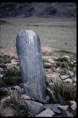199501 - 199501_11_20