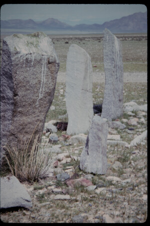 199501 - 199501_14_14