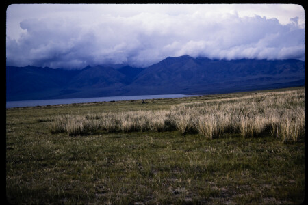 199501 - 199501_15_14