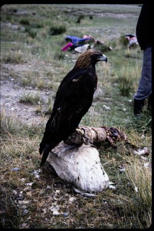 199501 - 199501_17_19