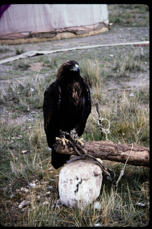 199501 - 199501_17_20