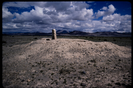 199502 - 199502_01_13