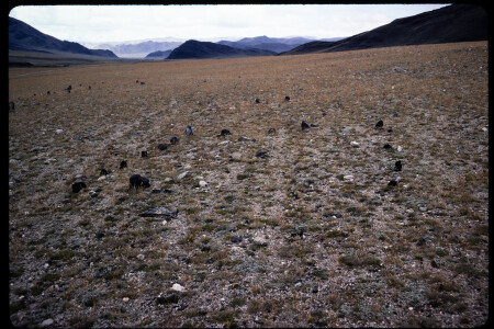 199502 - 199502_01_18