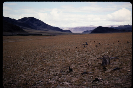 199502 - 199502_01_20