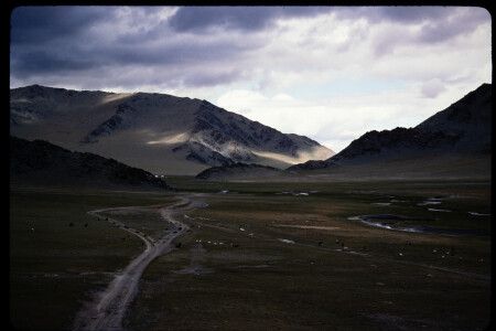 199502 - 199502_02_13