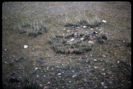 199502 - 199502_03_07