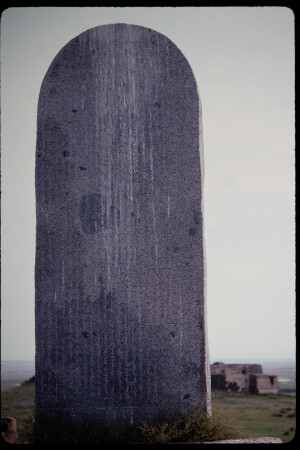 199502 - 199502_03_16