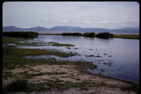 199502 - 199502_04_14
