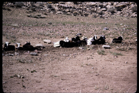 199502 - 199502_05_05