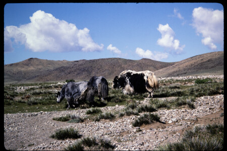 199502 - 199502_06_03