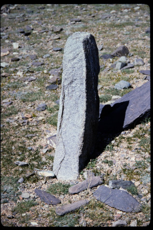 199502 - 199502_06_10