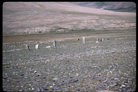 199502 - 199502_06_15