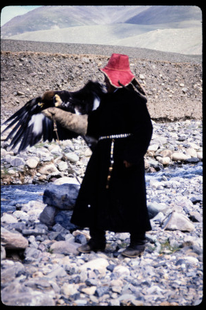 199502 - 199502_07_17