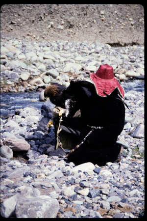 199502 - 199502_07_20