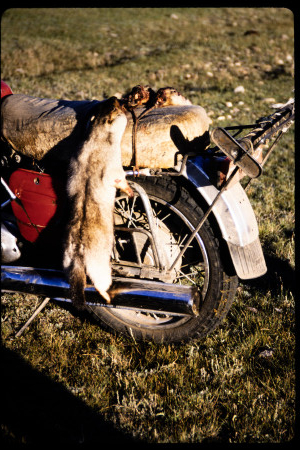 199502 - 199502_09_08