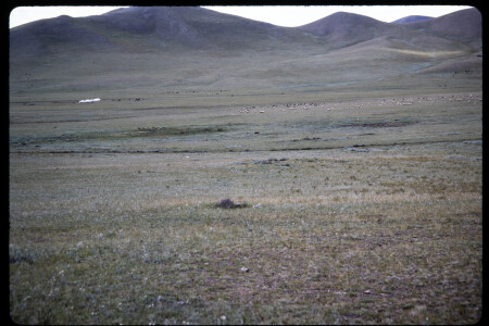 199502 - 199502_10_06