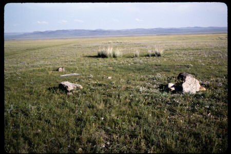 199502 - 199502_11_11
