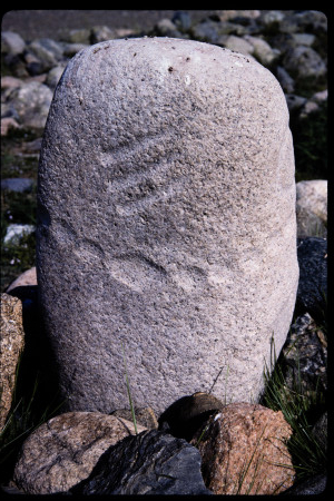 199503 - 199503_02_13