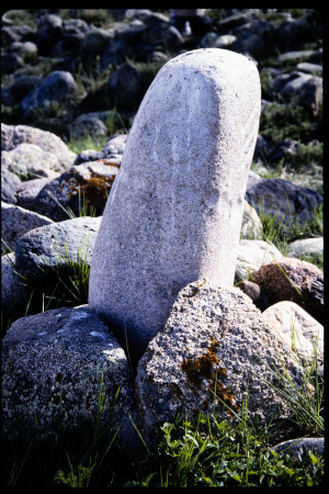 199503 - 199503_02_14