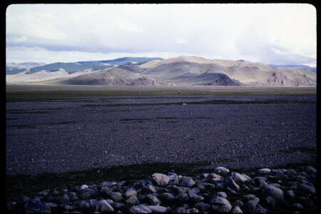 199503 - 199503_02_17