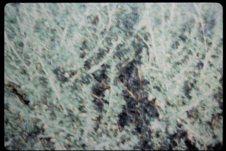 199503 - 199503_03_20