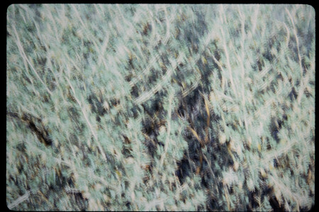 199503 - 199503_04_01