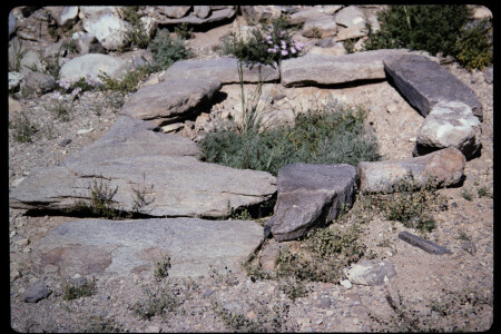 199503 - 199503_04_10