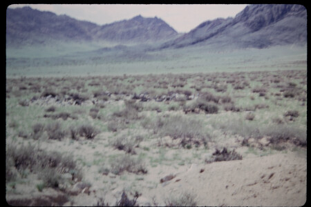 199503 - 199503_04_17