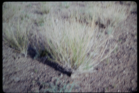 199503 - 199503_05_02