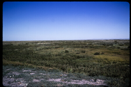 199503 - 199503_11_14